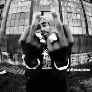 Meet your Posher, Zoe